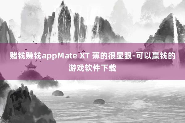 赌钱赚钱appMate XT 薄的很显眼-可以赢钱的游戏软件下载