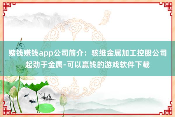 赌钱赚钱app公司简介：骇维金属加工控股公司起劲于金属-可以赢钱的游戏软件下载